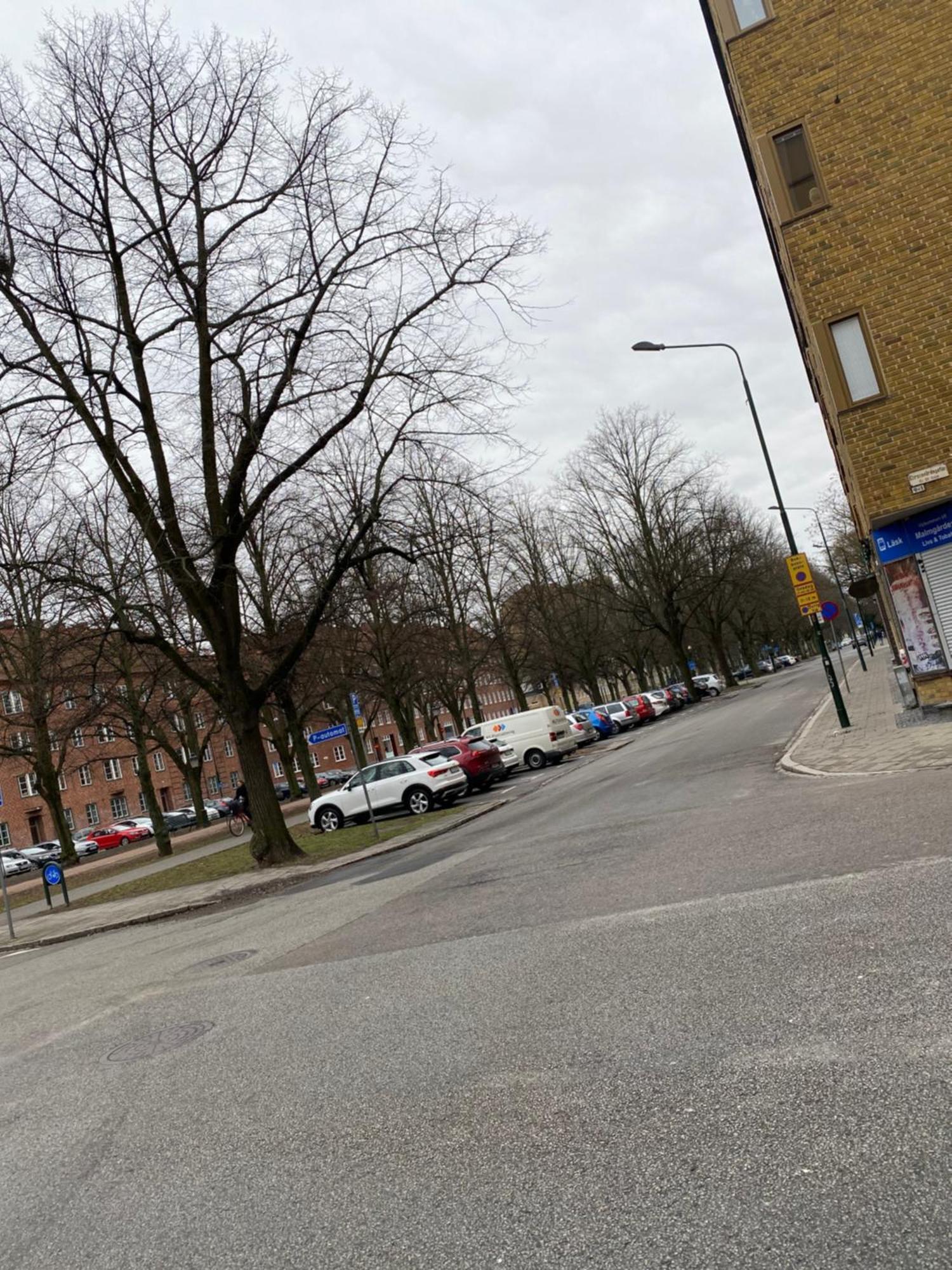 Comfort Appartment In Vaernhem, Malmoe Экстерьер фото